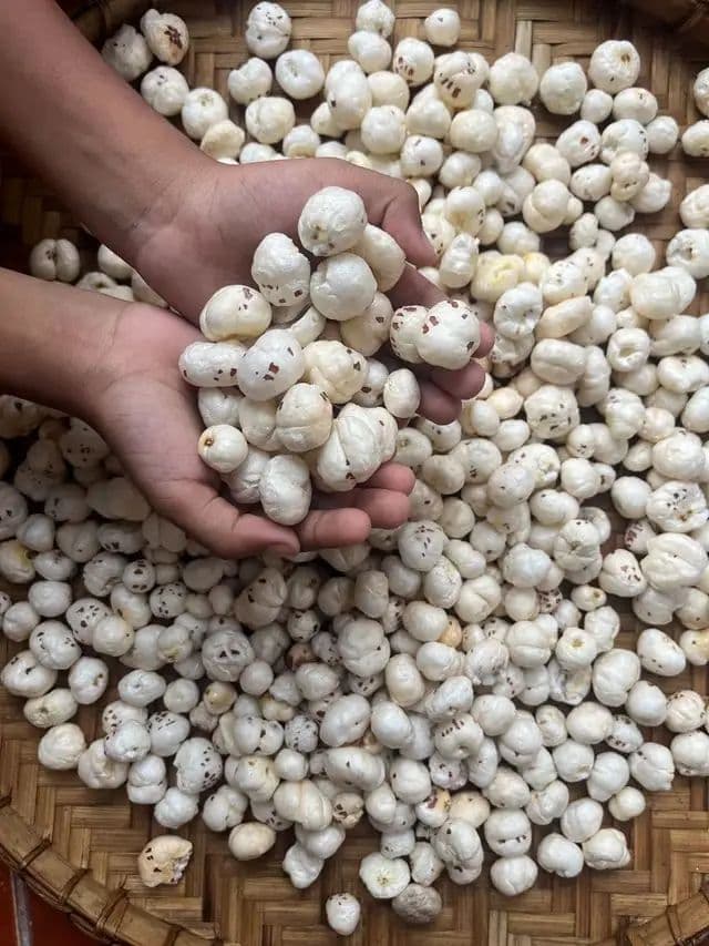 Raw / Plain Makhana